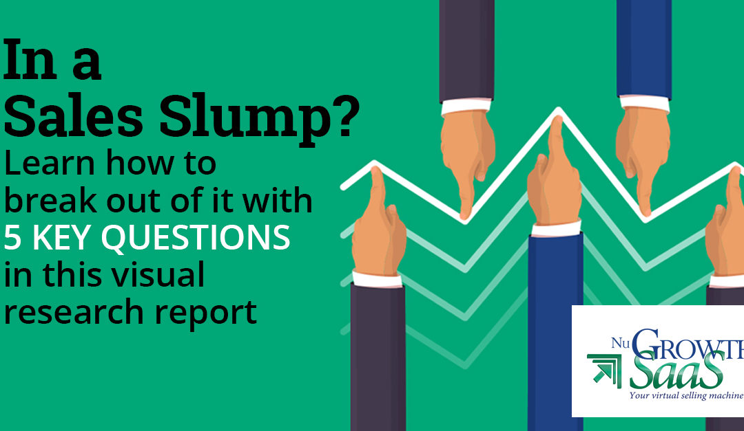 In a Sales Slump? Break Out with These Key Questions (eguide)