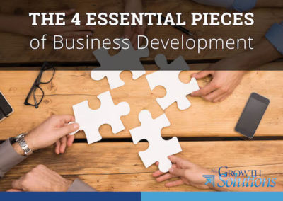 The 4 Essential Pieces of Business Development