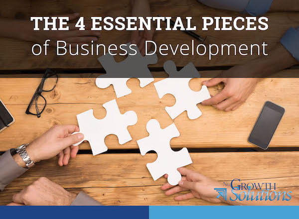The 4 Essential Pieces of Business Development
