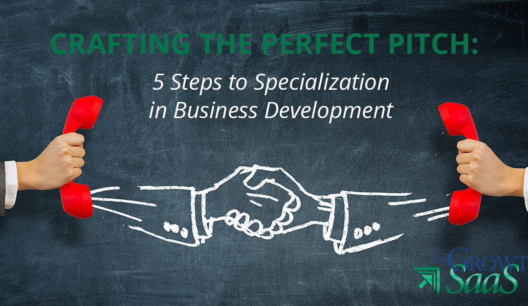 Crafting the Perfect Pitch: 5 Steps to Specialization in Business Development