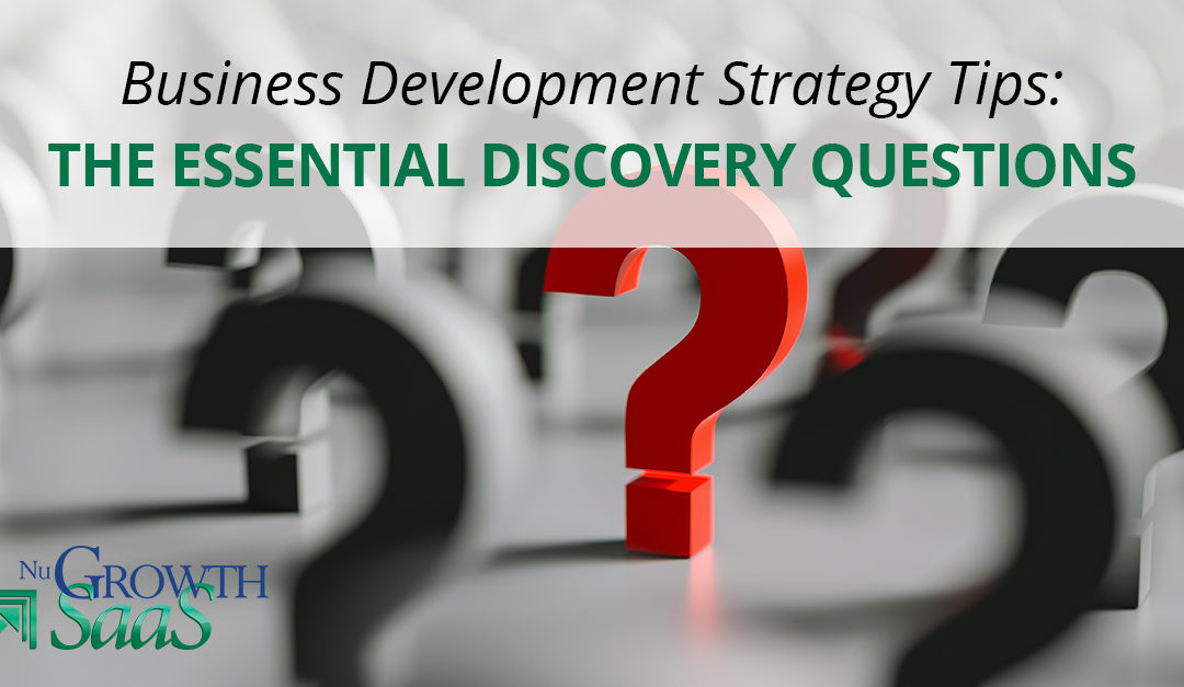 Business Development Strategy Tips: The Essential Discovery Questions