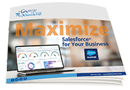 Maximize Salesforce Services