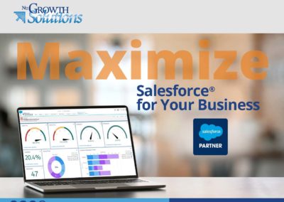 Maximize Salesforce for Your Business